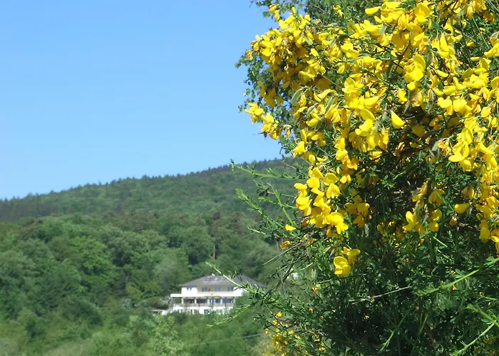 Zum Rebhang Bed & Breakfast