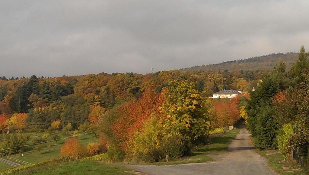 Gasthof Zum Rebhang *